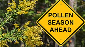 Prevent pollen from taking over your home