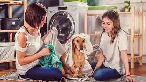 DIY vs. Professional Dryer Vent Cleaning: Making the Right Choice