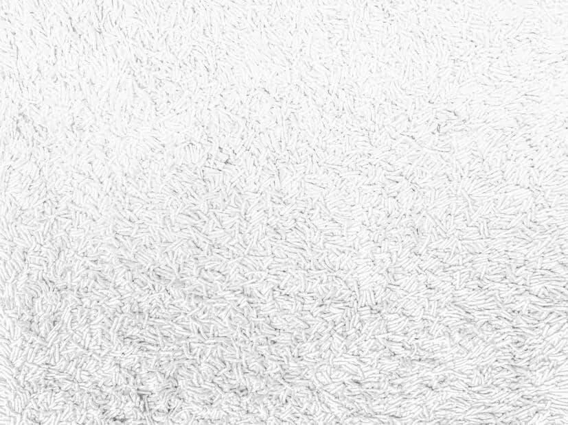 Professional cleaning services
