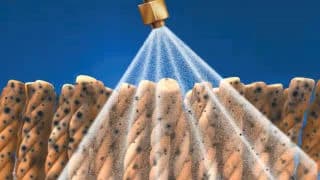 Sears carpet cleaning service advertisement from 1992